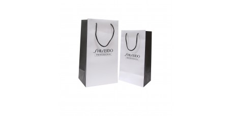 Paper Bag 8
